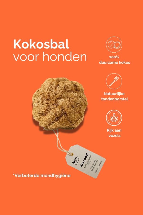 Kokosbal Kauwbal van kokosvezel - M - Per stuk