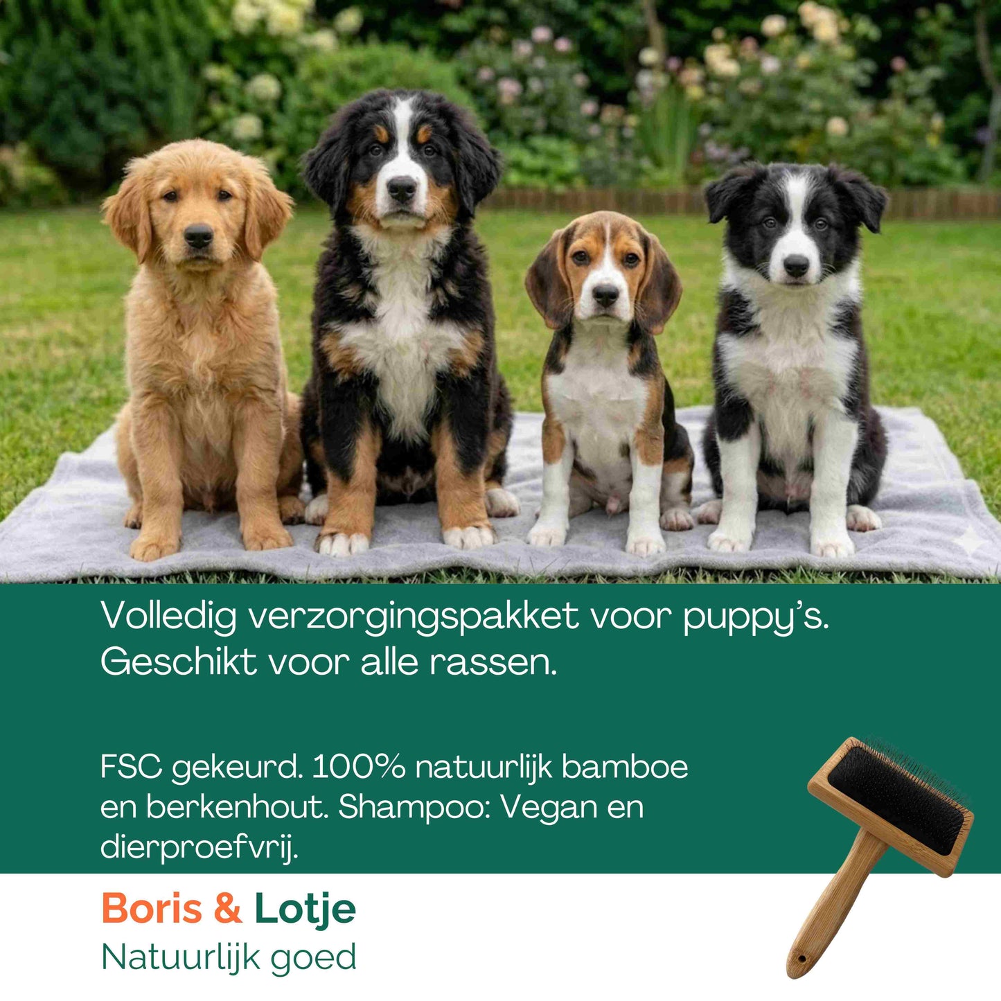 Puppy Verzorgingspakket – Hondenborstel, 2 Kammen & Puppy Hondenshampoo