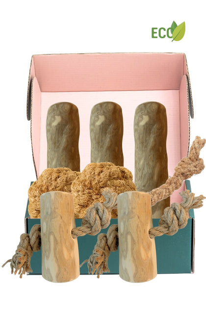 Coffrets deluxe pour chien