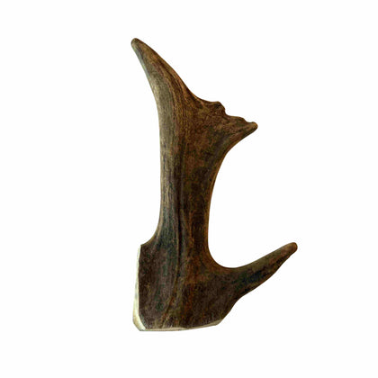 Bois de daim