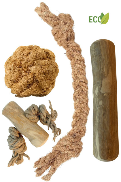 Coffrets de base pour chien