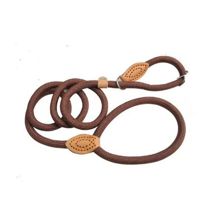 Promenade et entraînement