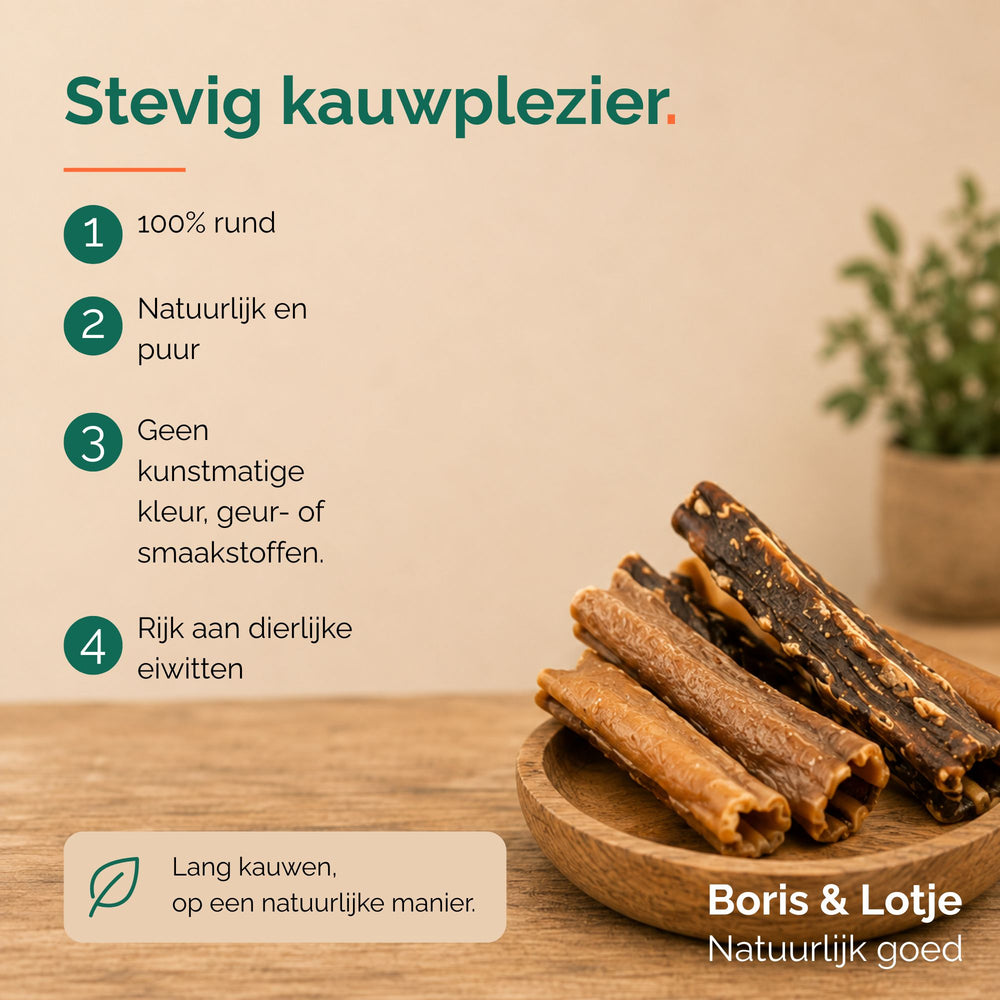 Peau de tête de bœuf 30 cm - 500 grammes