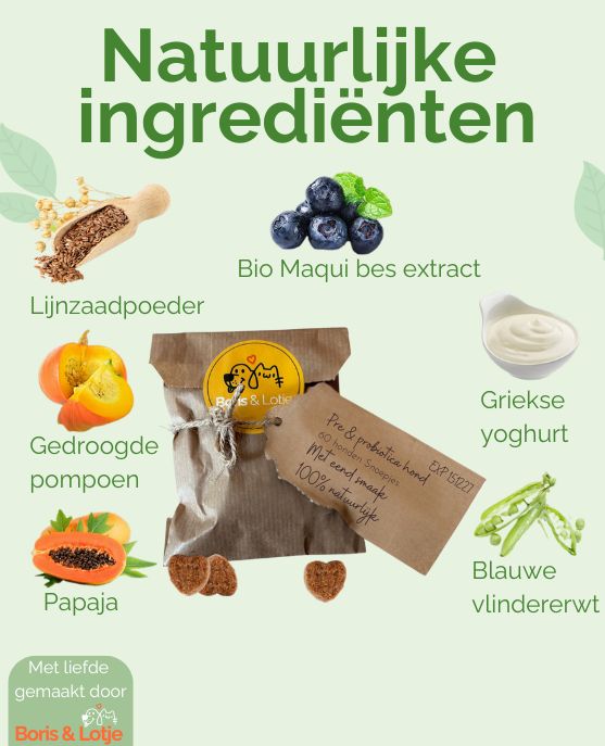 Pré- et probiotiques pour chien - Favorisent la digestion et les défenses immunitaires - 60 friandises pour chien au goût de canard