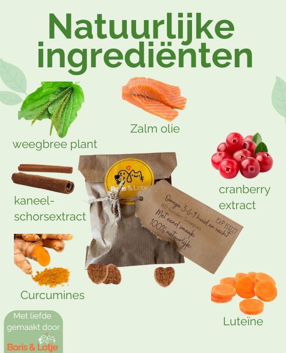 Complément Oméga 3-6-9 pour la peau et le pelage, multivitamines 15-en-1 - 60 friandises pour chien au goût de canard