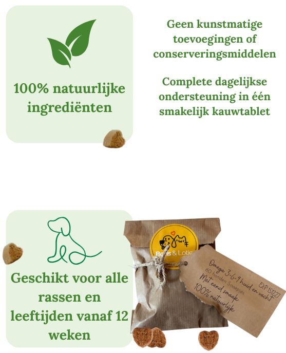 Complément Oméga 3-6-9 pour la peau et le pelage, multivitamines 15-en-1 - 60 friandises pour chien au goût de canard