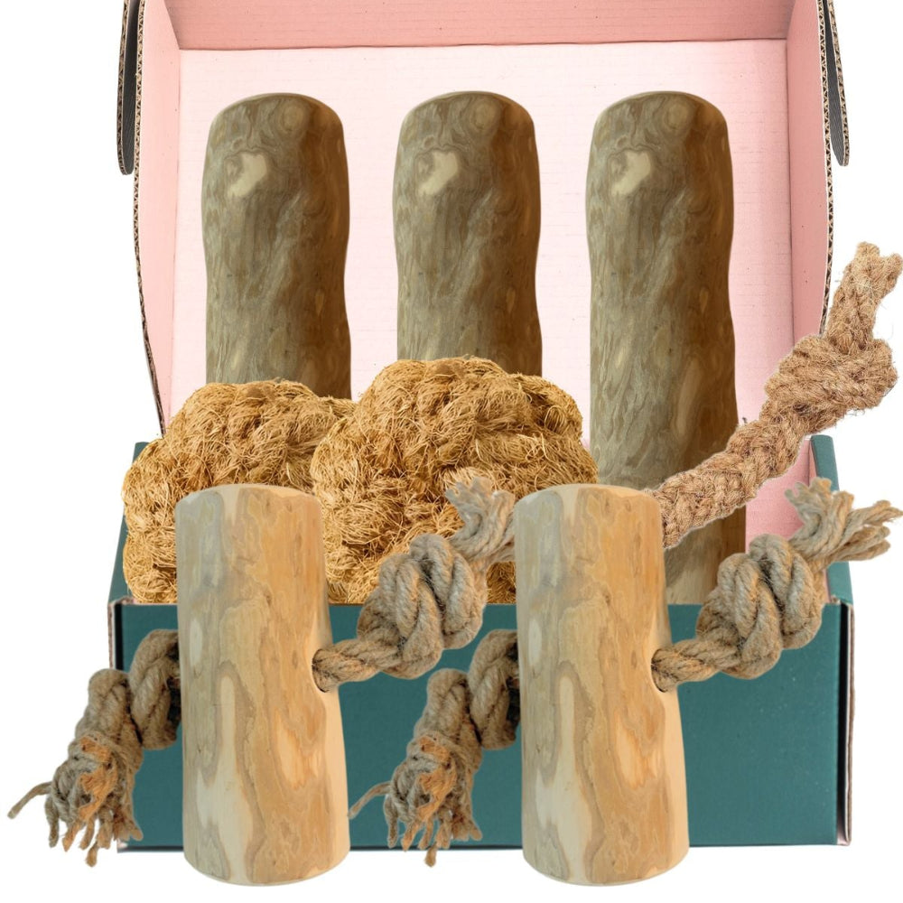 Pack pour chien Deluxe XL - Mâchouillage et jeu naturels