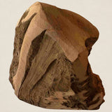 Racine de bruyère L (300-400 grammes)