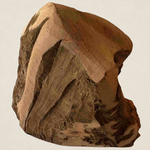 Racine de bruyère L (300-400 grammes)