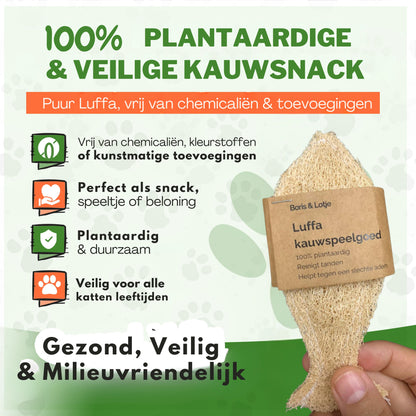 Natuurlijke tandenborstel voor katten - Gemaakt van 100% Luffa