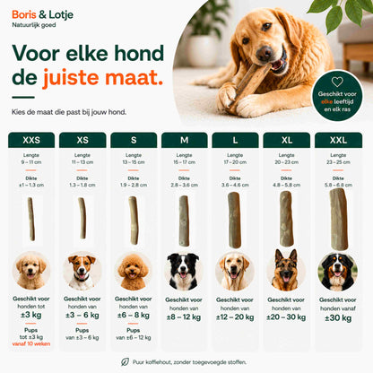 Koffieboomwortel Kauwstaaf Hond L (17–20 cm) - Per stuk
