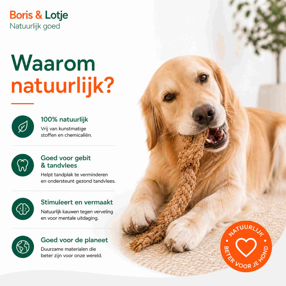 Pack chien - pack de base S - Mâchage et jeu naturels
