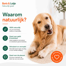 Pack chien - pack de base S - Mâchage et jeu naturels
