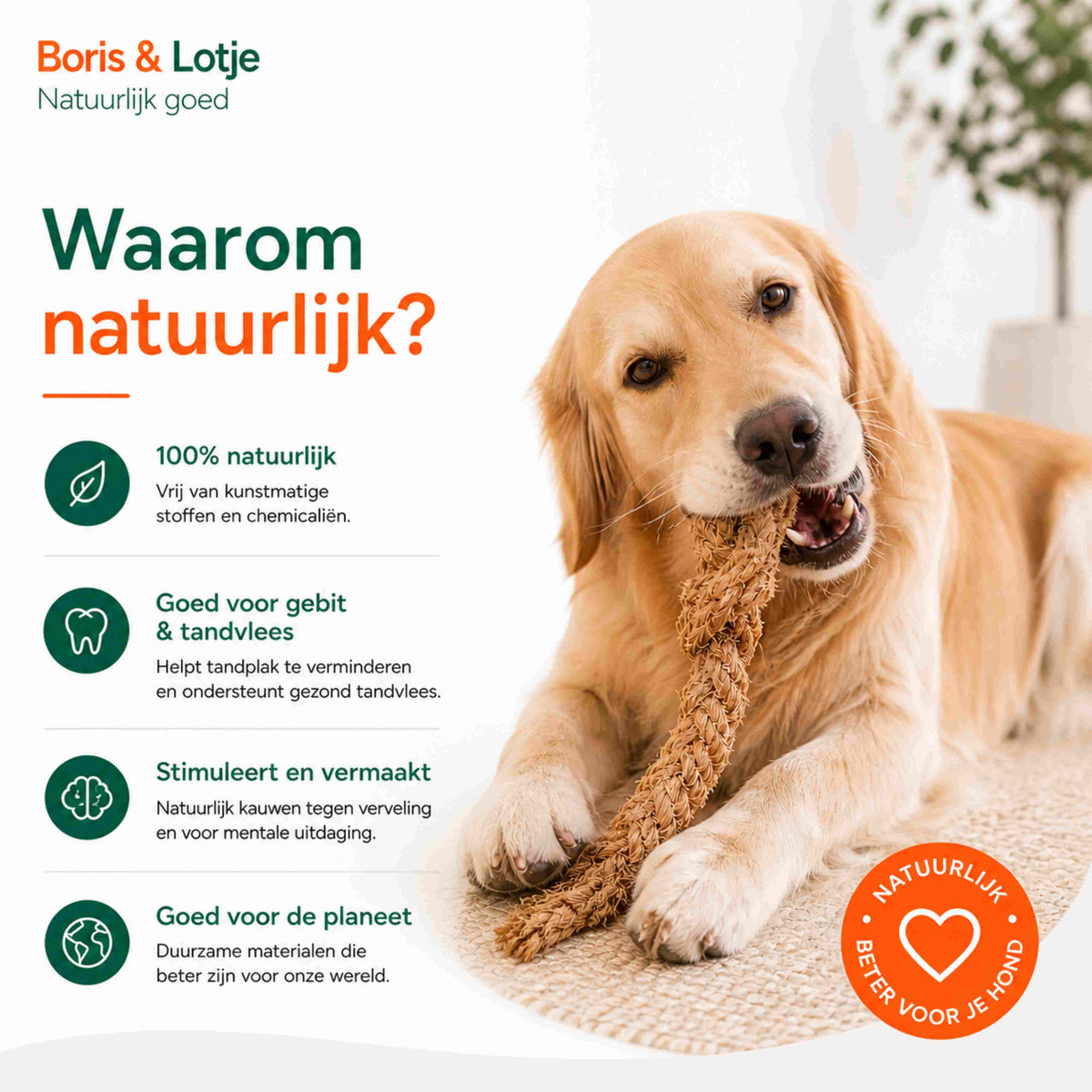 Pack chien - pack de base S - Mâchage et jeu naturels