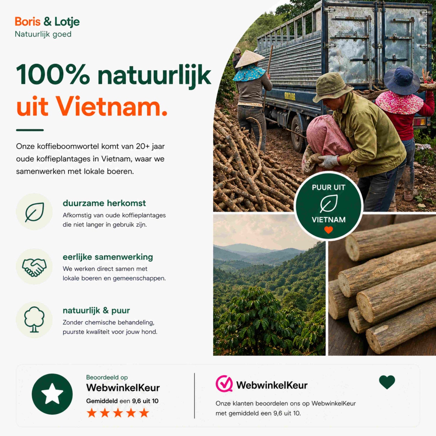 Hondenpakket Basispakket L - Natuurlijk kauwen en spelen