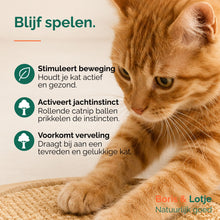 Griffoir pour chat avec circuit de jeu - bois et sisal 40,6 cm