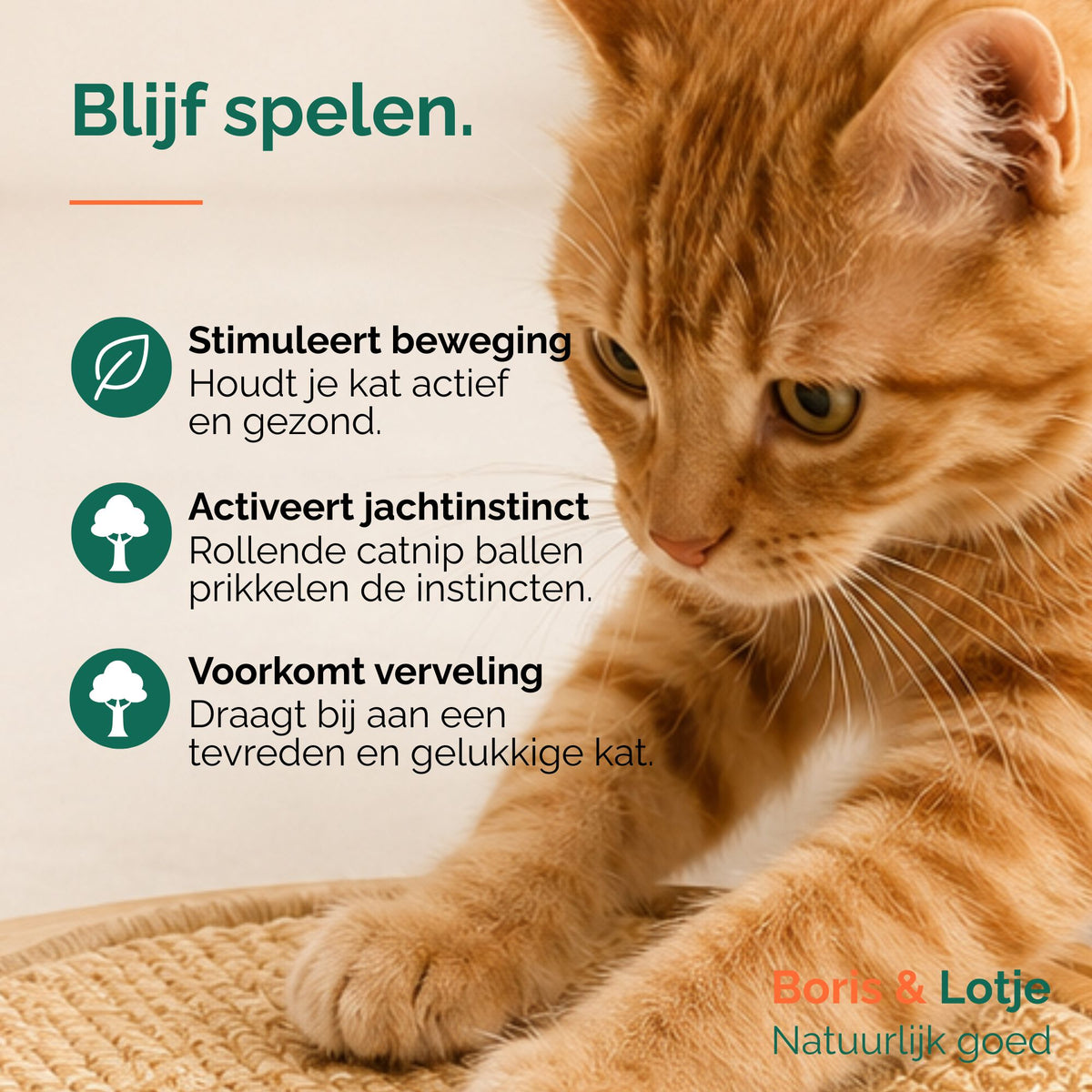 Griffoir pour chat avec circuit de jeu - bois et sisal 40,6 cm