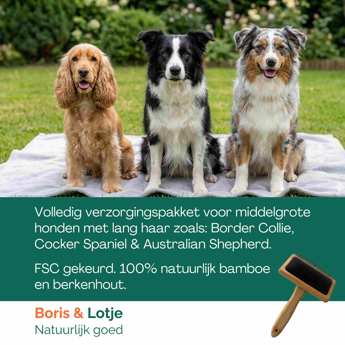 Kit de toilettage pour chien de taille moyenne à poil long de 10 à 25 kg – Brosse, carde, peigne & shampoing