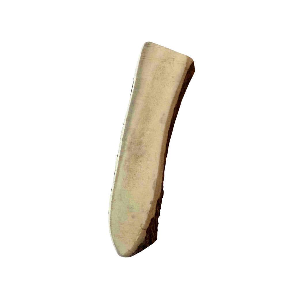 Bois de cerf L (120-160 grammes)