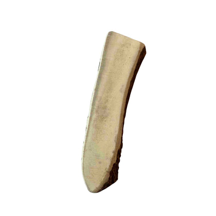 Bois de cerf L (120-160 grammes)