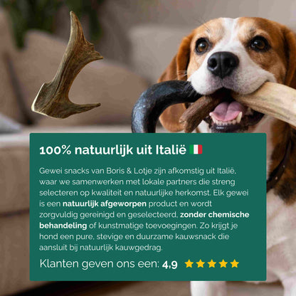 Rendiergewei hondensnack 100% natuurlijk maat L - Per stuk