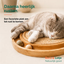 Griffoir pour chat avec circuit de jeu - bois et sisal 40,6 cm