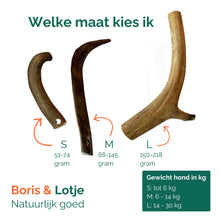 Bois de cerf élaphe S (51-74 grammes)