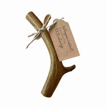 Bois de cerf élaphe L (150-218 grammes)