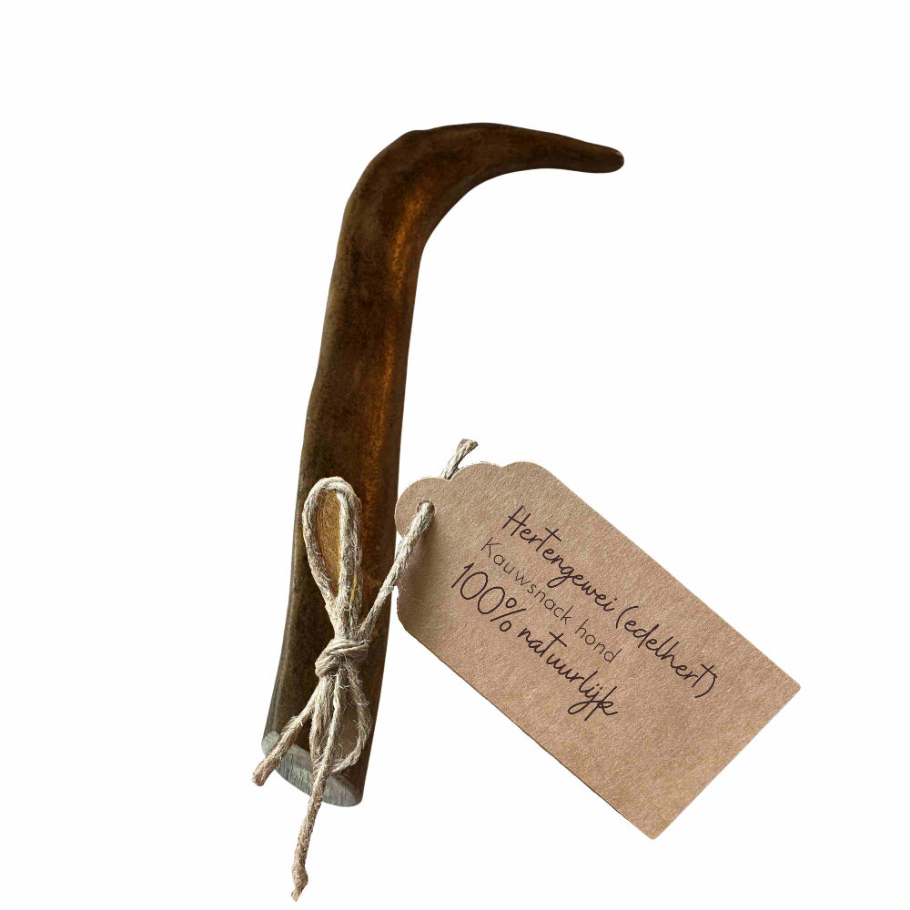 Bois de cerf élaphe M (88-145 grammes)