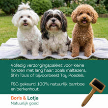 Kit de toilettage pour chien de petite taille à poil long jusqu'à 10 kg – Brosse, carde, peigne & shampoing