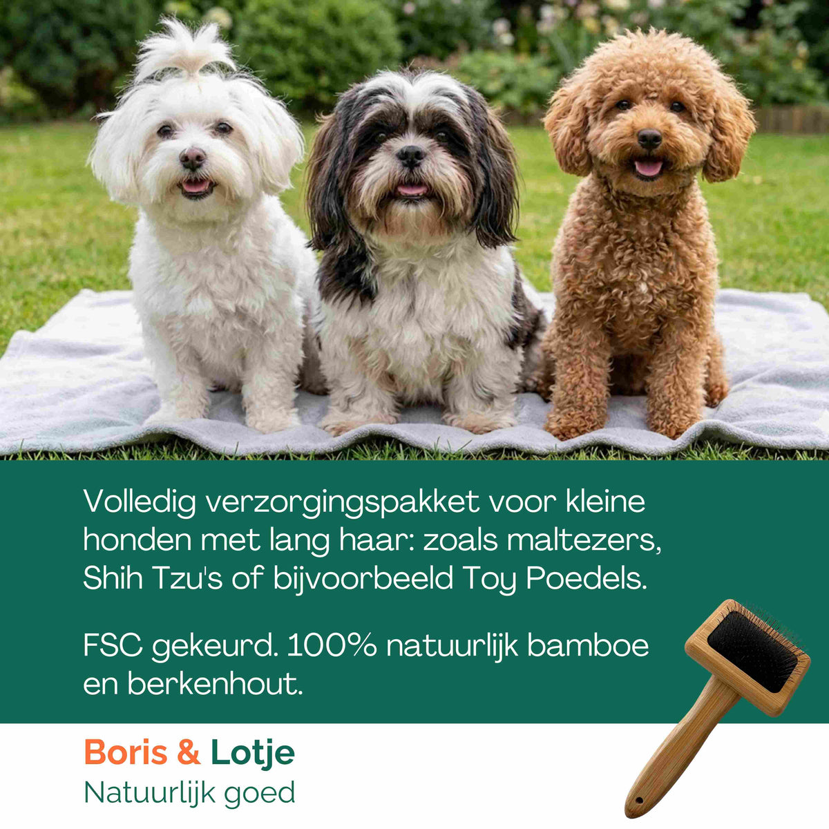 Kit de toilettage pour chien de petite taille à poil long jusqu'à 10 kg – Brosse, carde, peigne & shampoing