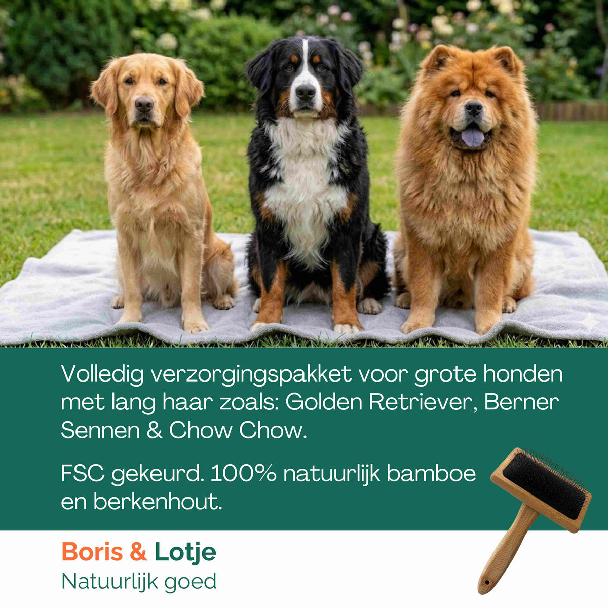 Kit de toilettage pour grands chiens à poil long à partir de 25 kg – Brosse pour chien, carde, peigne & shampoing