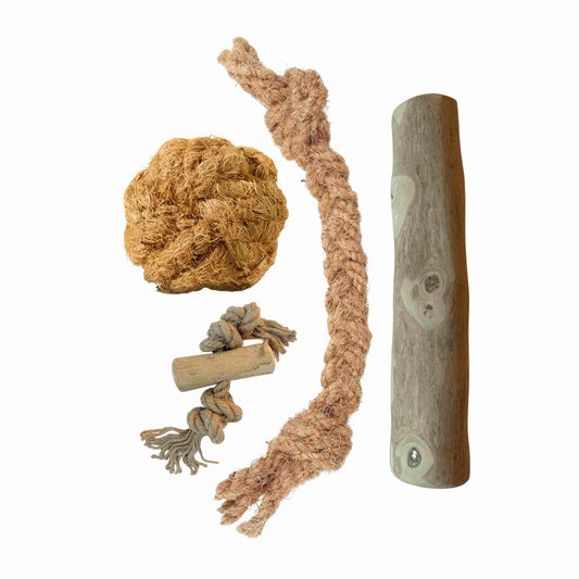 Hondenpakket Basispakket M - Natuurlijk kauwen en spelen