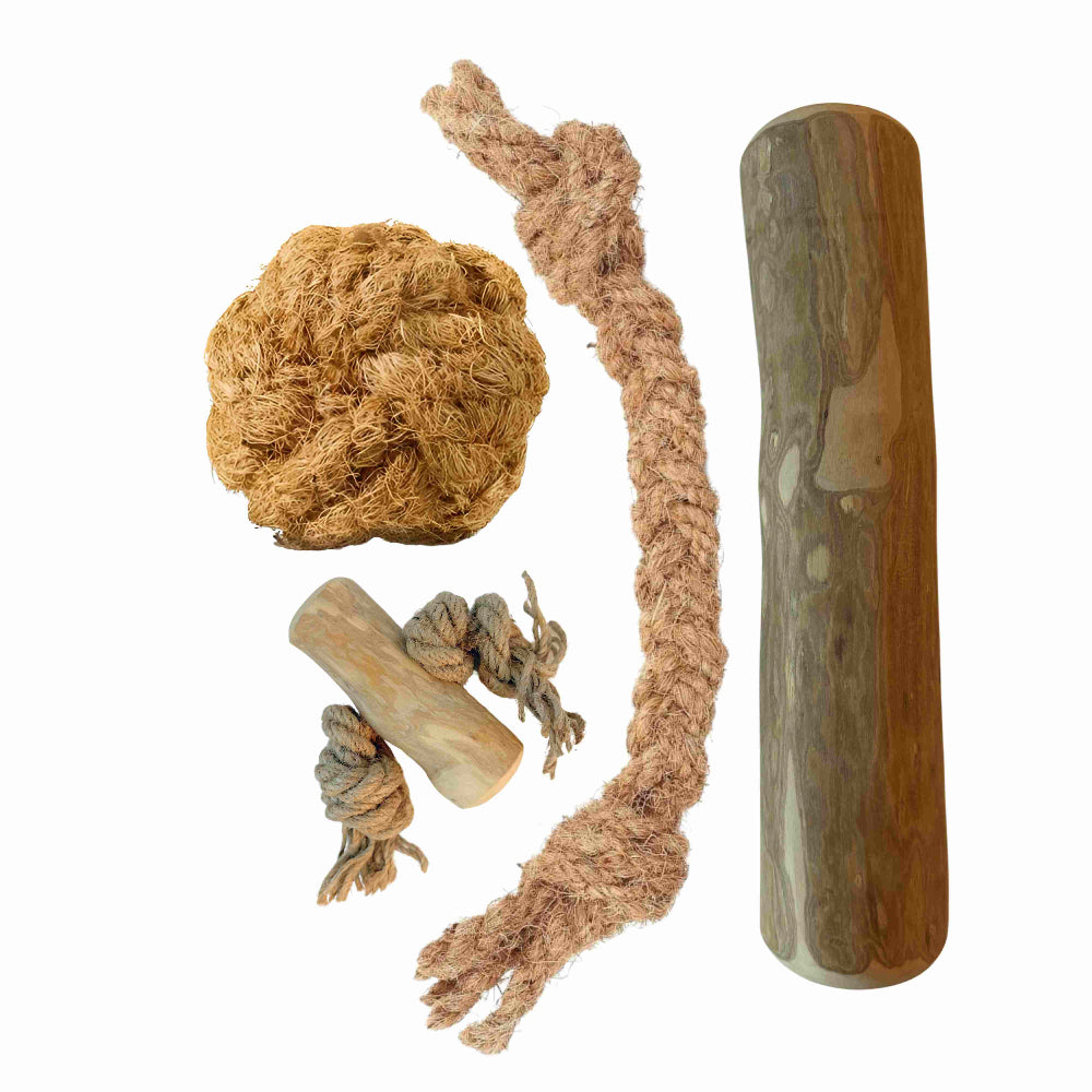 Pack de base pour chien L - Mâchouillage et jeu naturels