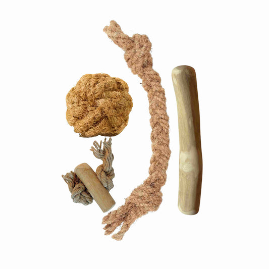 Hondenpakket Basispakket S - Natuurlijk kauwen en spelen