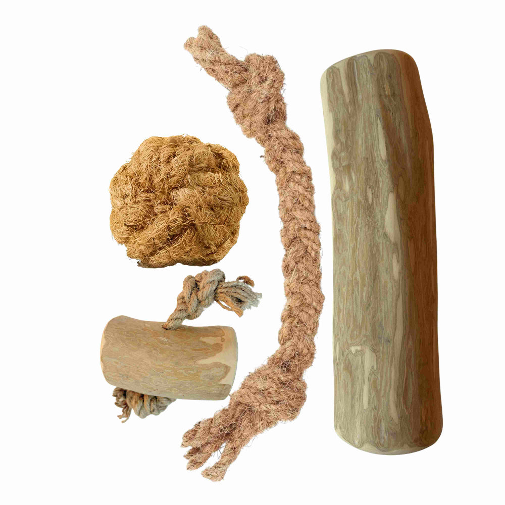 Pack de base pour chien XXL - Mâchouillage et jeu naturels