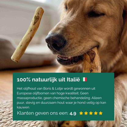 Olijfhout kauwstaaf hond 100% natuurlijk maat XL, 25-32 cm - per stuk
