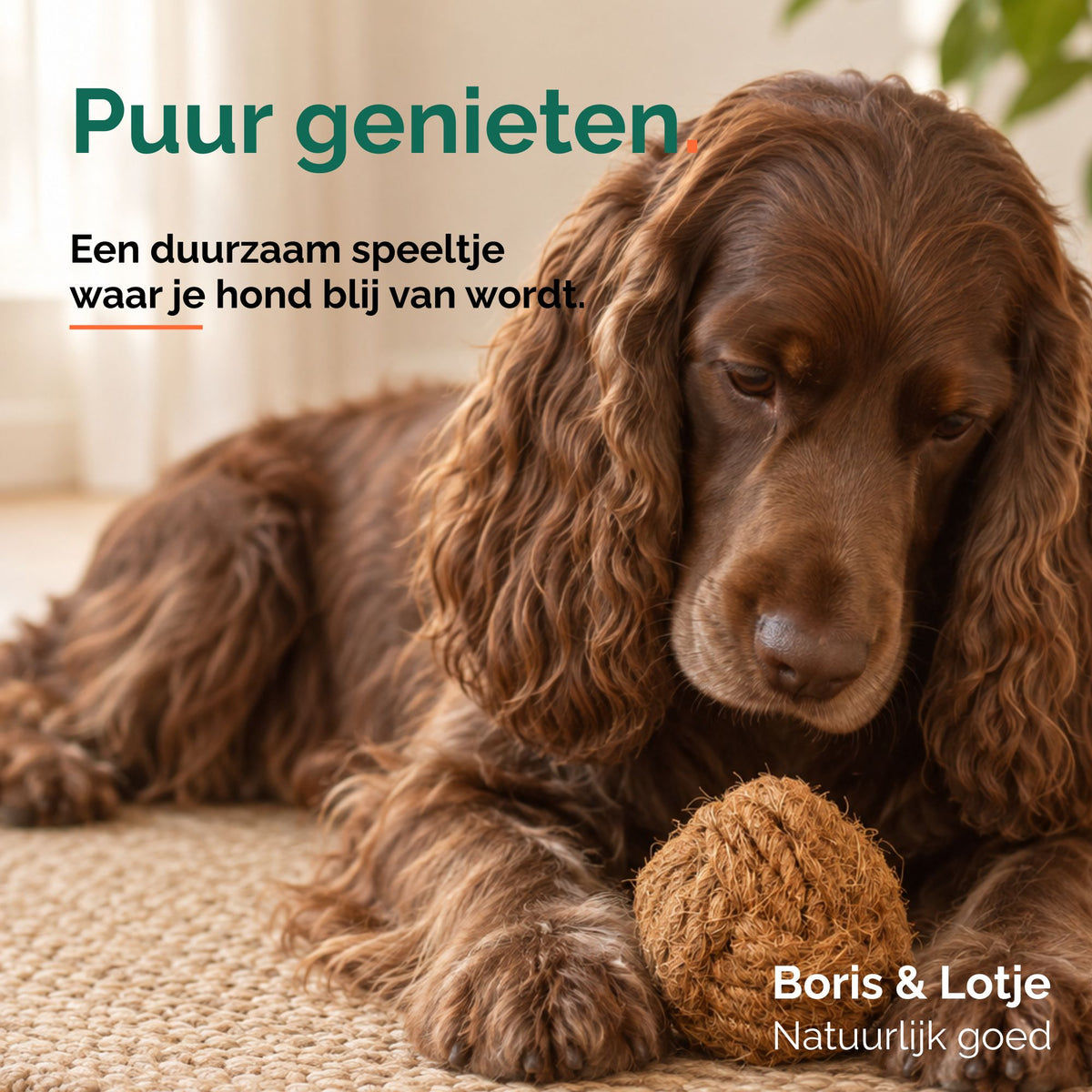 Balle à mâcher en fibre de coco pour chien L (9 cm)
