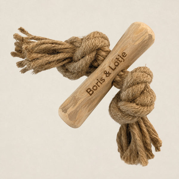 Koffieboomwortel met Henneptouw XS (7 cm)