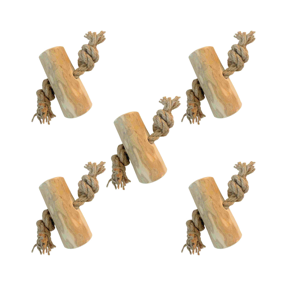 Racine de caféier avec corde de chanvre XL (10 cm)