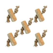 Racine de caféier avec corde de chanvre XL (10 cm)