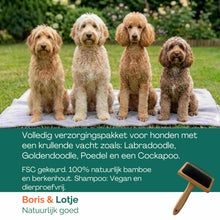 Kit de toilettage pour Doodle – Brosse carde, 2 peignes pour chien & shampoing démêlant pour chien
