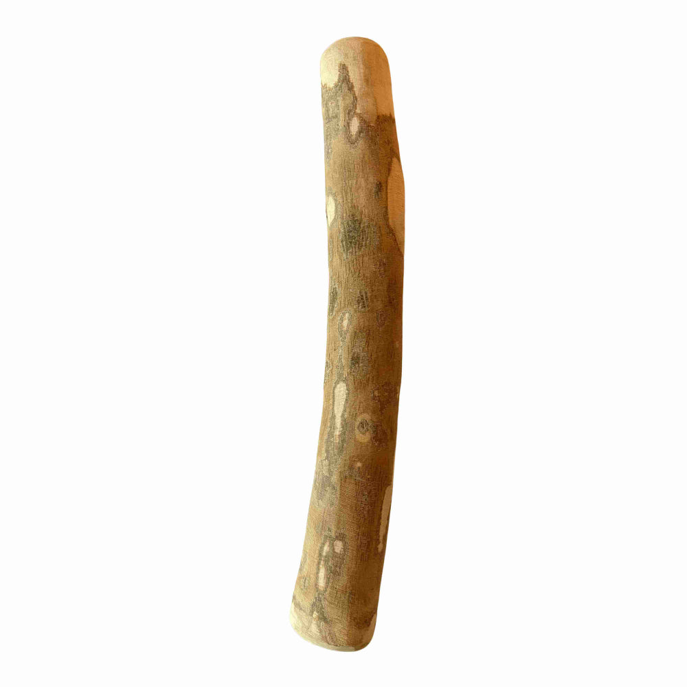 Olijfhout kauwstaaf hond 100% natuurlijk maat XL, 25-32 cm - per stuk