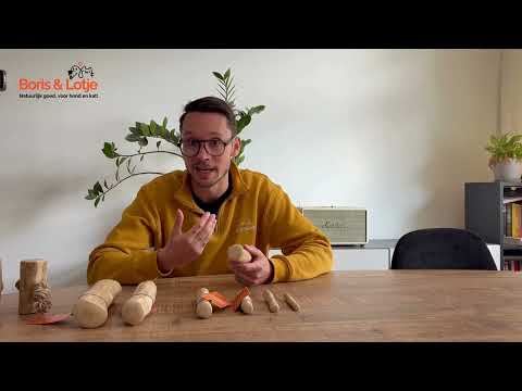 Racine de caféier avec corde de chanvre XL (10 cm)