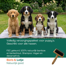 Kit de toilettage pour chiot – Brosse pour chien, 2 peignes & shampoing pour chiot