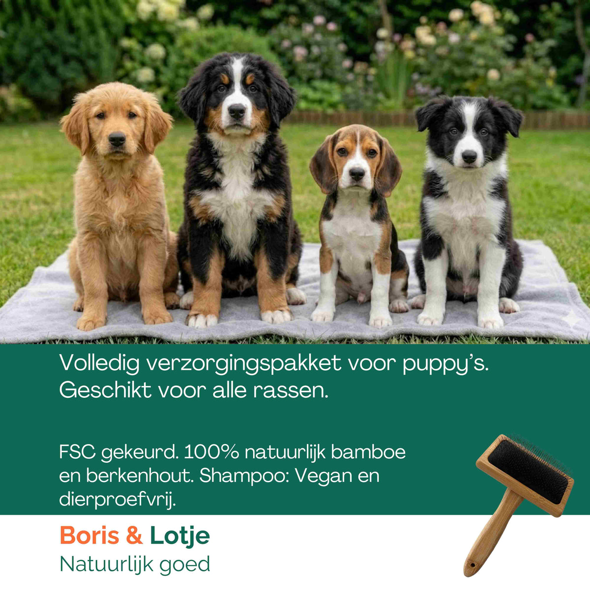 Kit de toilettage pour chiot – Brosse pour chien, 2 peignes & shampoing pour chiot