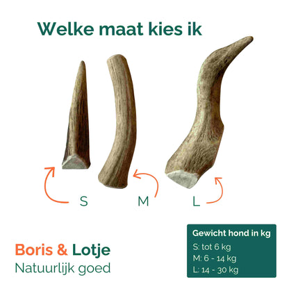 Rendiergewei hondensnack 100% natuurlijk maat S - Per stuk