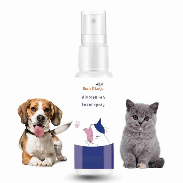 Spray anti-puces et anti-tiques pour chien et chat – 100 % naturel