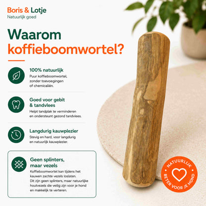 Koffieboomwortel Kauwstaaf Hond L (17–20 cm) - Per stuk